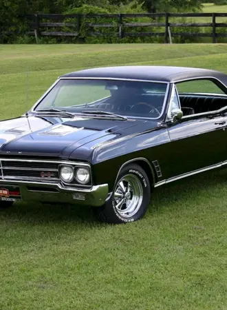 Buick Skylark 1966