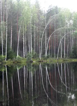 Чёртово озеро Парголово