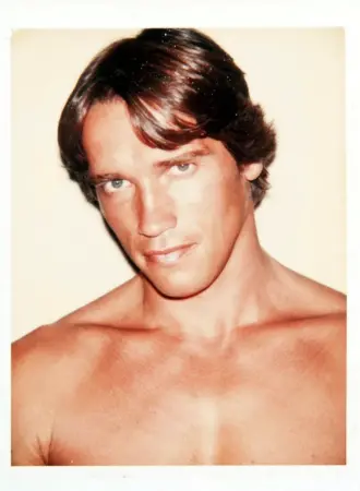 Энди Уорхол Arnold Schwarzenegger