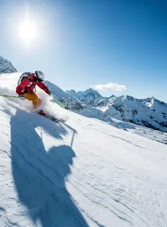 Горные лыжи Vito-Ski