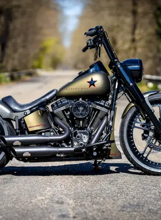 Harley Davidson Softail Slim s