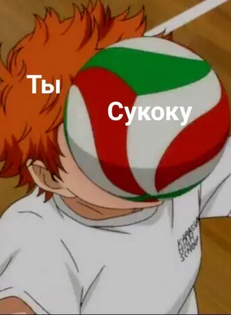 Хината шоё с мячом