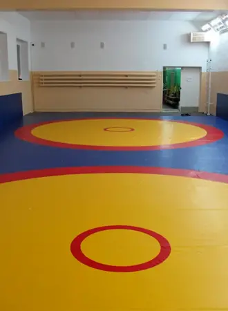 Ковер борцовский 125х12х2 шт. защита стен комплект самбо