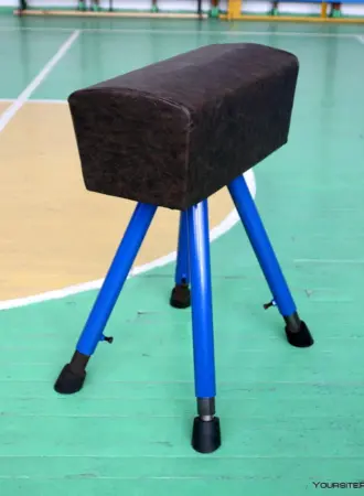 Козёл гимнастический 670 350 280