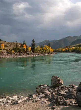 Кур Кечу Алтай