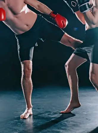 Лоу КИК техника удара