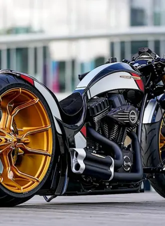 Мотоциклы Harley Davidson Thunderbike
