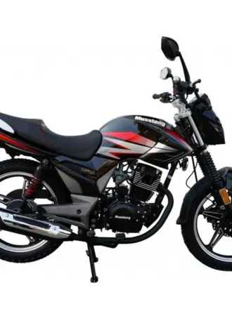 Musstang Region mt200