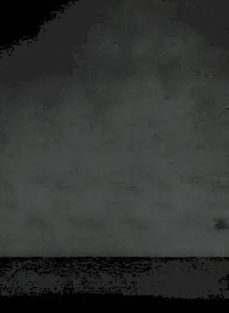 Обои бокс