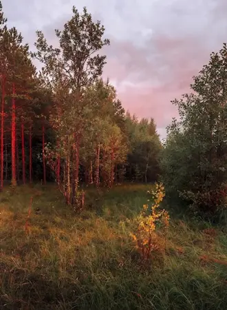 Однажды обходя окрестности Онежского