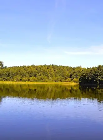Окуловка озеро Боровно