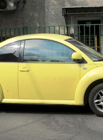 Opel Жук