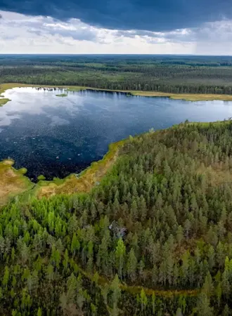 Озеро Ширское Ленинградская область