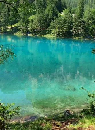 Озеро зеленое Лужский район