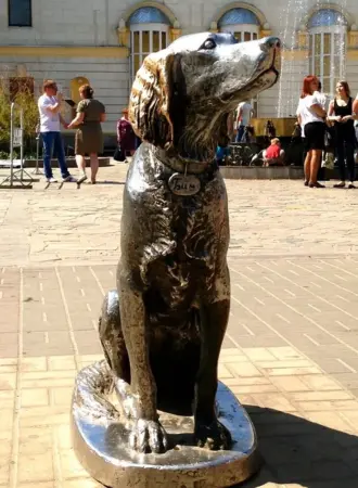 Памятник белому Биму черное ухо в Воронеже