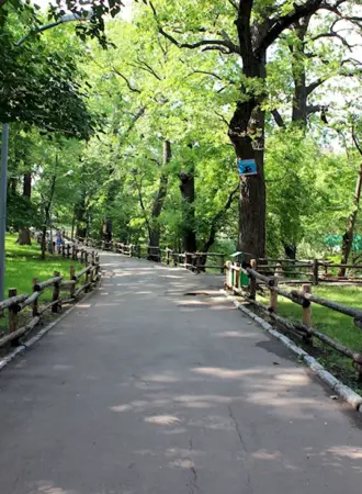 Парк имени Горького Саратов