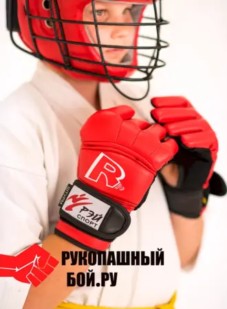 Перчатки для АРБ Рэй спорт