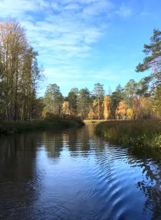 Плесецкий район посёлок елс-озеро