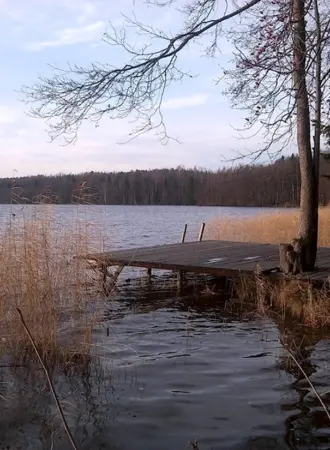 Сарженское озеро Ленинградская область