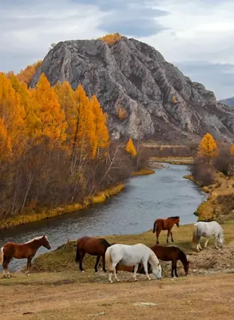 Село Усть Кан горный Алтай