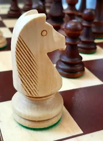 Шахматы Франция