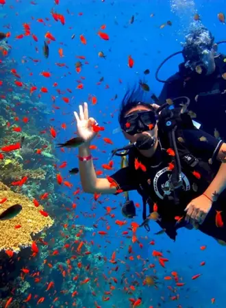 Шарм-Эль-Шейх Diving