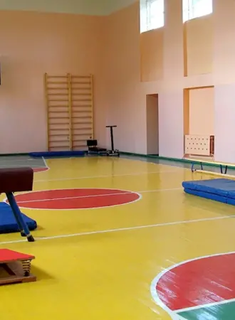Школьный спортзал