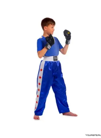 Штаны для кикбоксинга Everlast