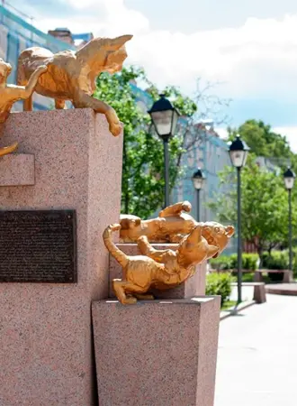 Сквер сибирских кошек Тюмень