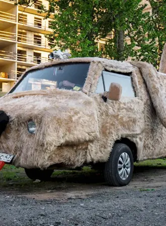Собака в машине