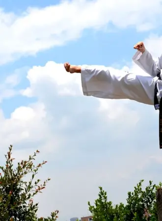 Taekwondo ITF
