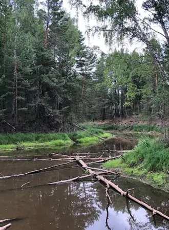 Тевриз Омская область