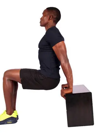 Tricep Bench Dip