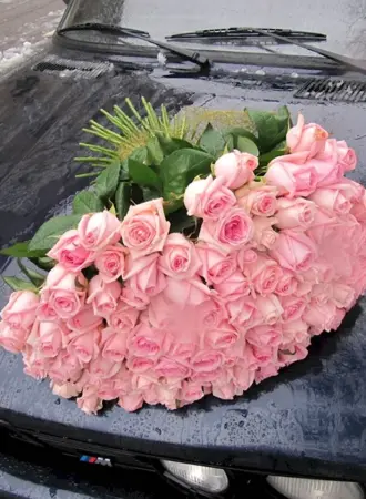 Цветы в БМВ е39