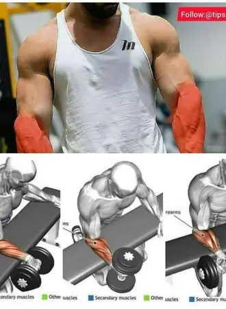 Упражнения на предплечья