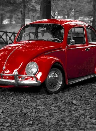 Volkswagen Жук