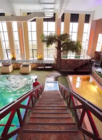 Зебра ТЦ клен