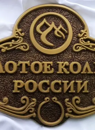 Золотое кольцо России надпись