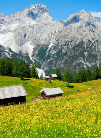 Альпийские Луга Швейцария