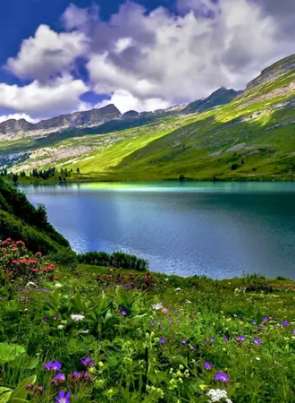 Альпийские Луга Швейцария
