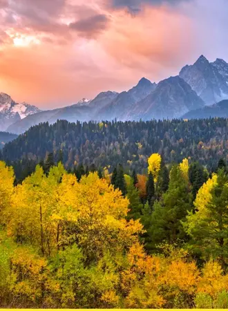 Архыз горы лес