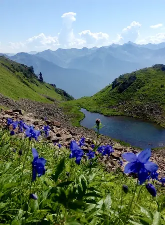 Байкал Хамар Дабан