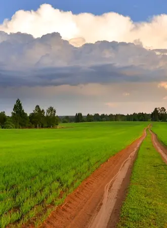Беларусь природа