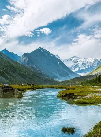 Белуха горный Алтай