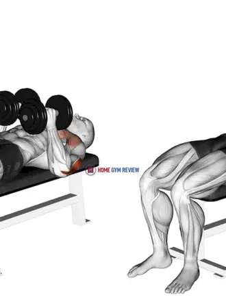 Bench Press close Grip Dumbbell