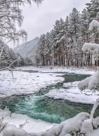 Чемал горный Алтай зима