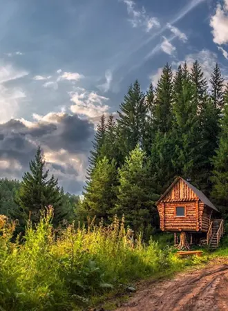 Друскининкай лес избушка