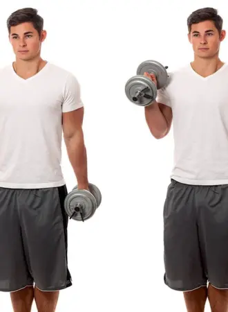 Dumbbell Hammer Curls