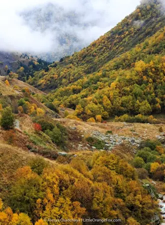 Фиагдон Северная Осетия осенью