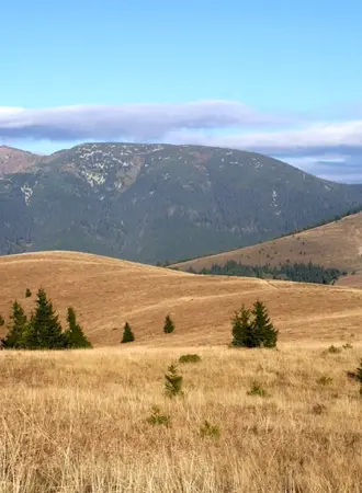 Гора Лысица